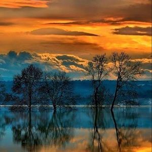 Meet your Posher, Michelline